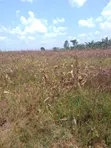 Land for Sale in Kabimbiri Kibamba - 1