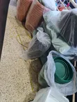 Plastic Flower Pots - 4
