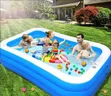 Seasonic Inflatable Swimming Pool with Pump - 1