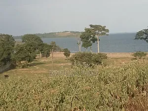 4 Plots for Sale with Lake View, Entebbe