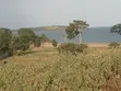 4 Plots for Sale with Lake View, Entebbe - 1