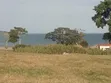 4 Plots for Sale with Lake View, Entebbe - 2