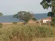 4 Plots for Sale with Lake View, Entebbe - 3