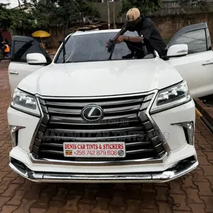 Denis Car Privacy & Decorative Tints