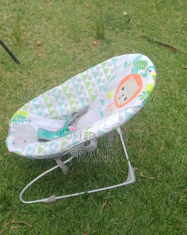 Original American Baby Bouncer - 1