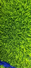 Artificial Turf - Green - 2