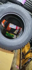 195/80 R15 Dunlop All Season Tires - 5