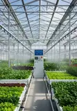 Smart Greenhouse Solutions - 1