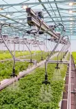 Smart Greenhouse Solutions - 2