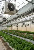 Smart Greenhouse Solutions - 3
