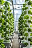 Hydroponic Farming Systems - Automated & Remote Controlled - 3