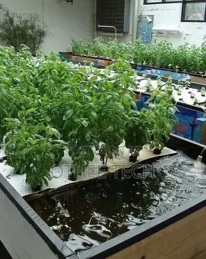 Aquaponic Farming Systems - Smart Ecosystem