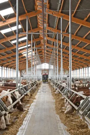 Smart Livestock Management System