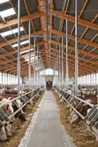 Smart Livestock Management System - 1