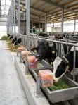 Smart Livestock Management System - 2