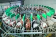 Smart Livestock Management System - 3