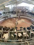 Smart Livestock Management System - 4