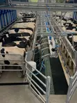 Smart Livestock Management System - 5