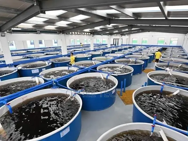 Smart Fish Farming IoT System - 1
