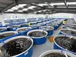 Smart Fish Farming IoT System - 1