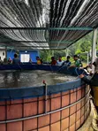 Smart Fish Farming IoT System - 3