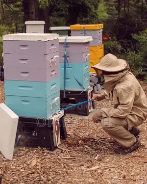Apiary Monitoring Wireless Hive Sensors