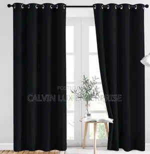 Pair of Curtains with Net