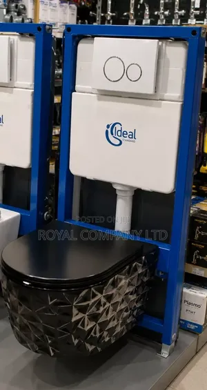 Concealed Toilet Set
