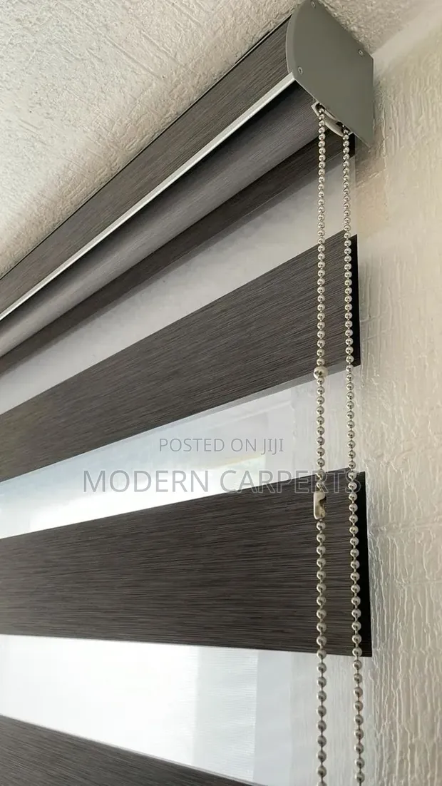 Modernic Executive Zebra Blinds - 1