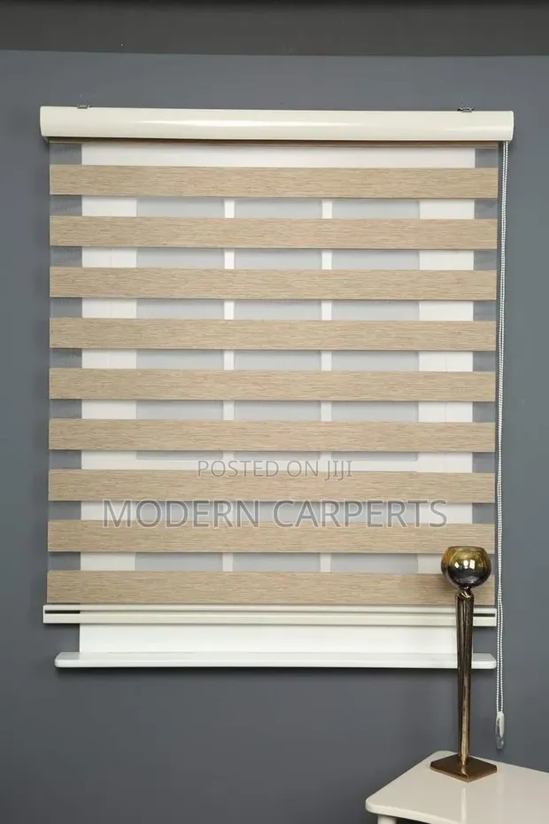 Executive Zebra Blinds - 1