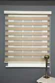 Executive Zebra Blinds - 1