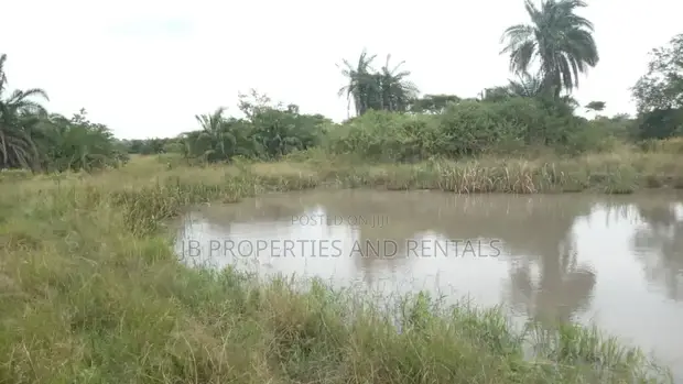 Farm with 100 Cows, 60 Goats, 20 Sheep for Sale - 1