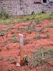 Prime Plot for Sale in Kira - 2