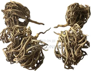 Rose of Jericho (Maryam Flower) Women's Health Plant