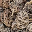 Rose of Jericho (Maryam Flower) Women's Health Plant - 3