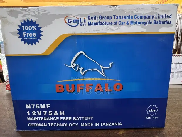 Buffalo 75Ah 12V Battery - 1