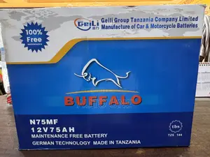Buffalo 75Ah 12V Battery