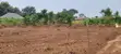 Kakiri Nakyerongosa Plots for Sale - 1