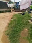Residential Plot for Sale in Nabweru - 1