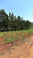 Kisoga Estate Land for Sale - 2