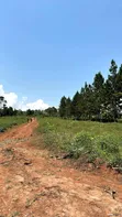 Kisoga Estate Land for Sale - 3