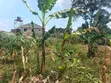 2 Prime Plots for Sale at Namugongo-Joggo - 5