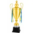 Sports Award Cup - Winner - 2