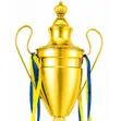 Sports Award Cup - Winner - 4