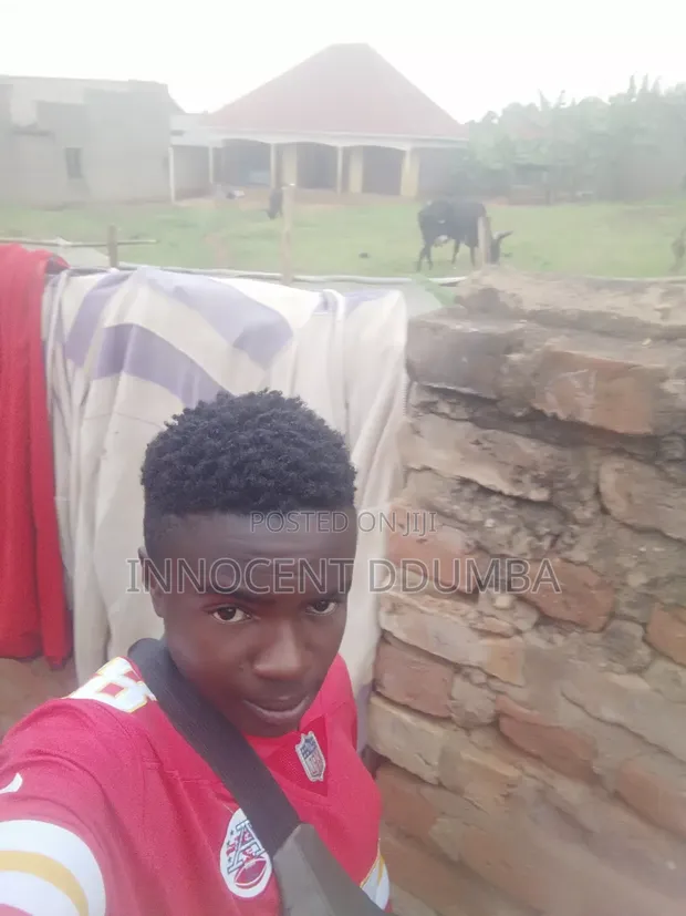 Carpenter Available in Kayabye - 1
