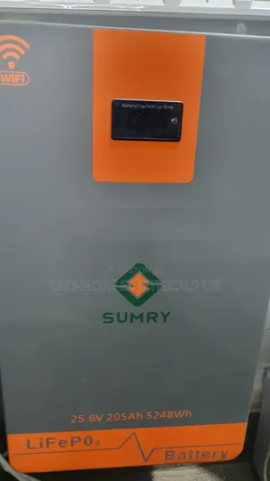Affordable Lithium Battery 2.5kWh / 24V