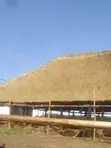 Luxury Grass Thatched Shade Builders - 2