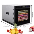 Professional Stainless Steel Food Dehydrator - 2