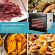 Professional Stainless Steel Food Dehydrator - 3