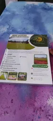 Flyers, Brochures, and Booklets Printing - 2